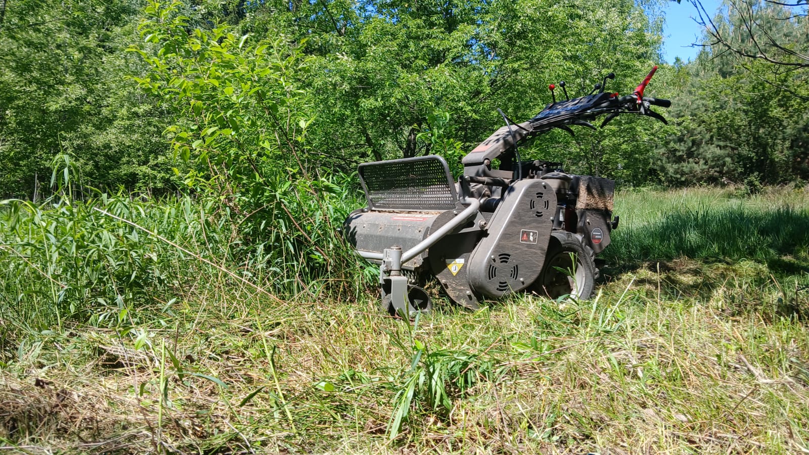 1000034363